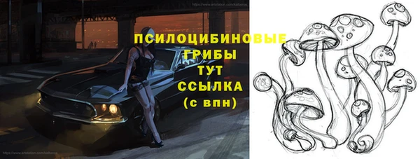 ГАЛЛЮЦИНОГЕННЫЕ ГРИБЫ Абаза