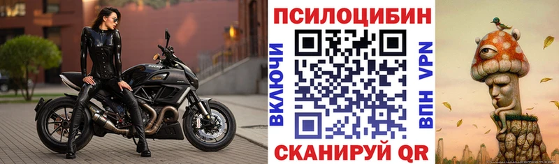 как найти закладки  мега как войти  мориарти телеграм  Елизаветинская  Галлюциногенные грибы Psilocybe 